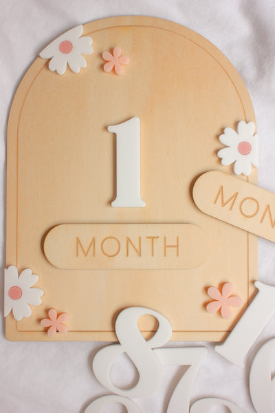 My first year | Interchangeable monthly milestone plaque